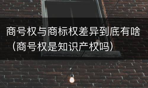 商号权与商标权差异到底有啥（商号权是知识产权吗）