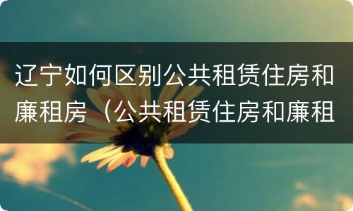 辽宁如何区别公共租赁住房和廉租房（公共租赁住房和廉租住房的区别）