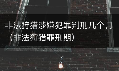 非法狩猎涉嫌犯罪判刑几个月（非法狩猎罪刑期）