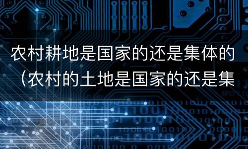 农村耕地是国家的还是集体的（农村的土地是国家的还是集体的）