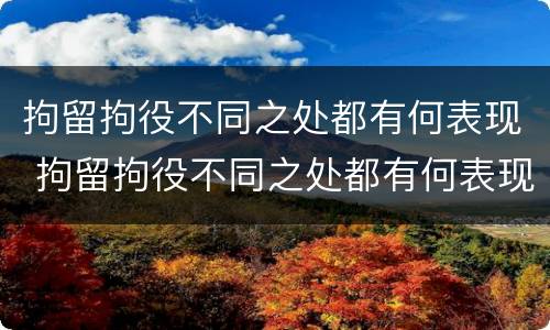 拘留拘役不同之处都有何表现 拘留拘役不同之处都有何表现呢