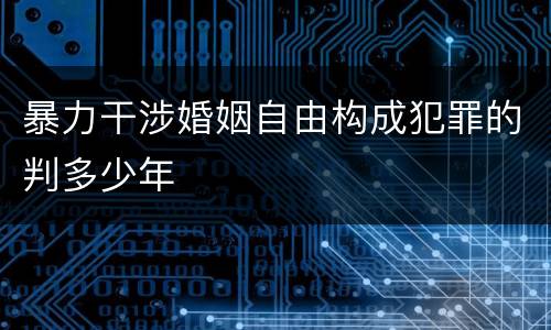 暴力干涉婚姻自由构成犯罪的判多少年