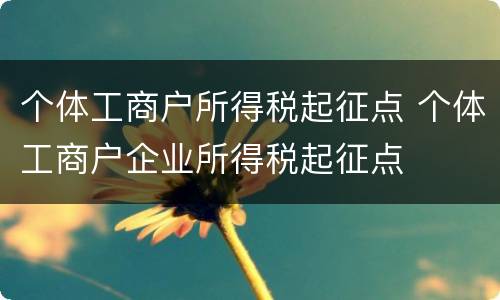 个体工商户所得税起征点 个体工商户企业所得税起征点