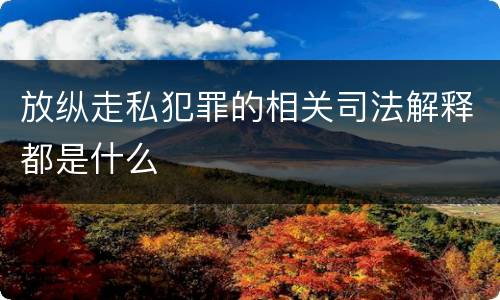 放纵走私犯罪的相关司法解释都是什么