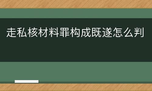 走私核材料罪构成既遂怎么判