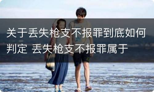 关于丢失枪支不报罪到底如何判定 丢失枪支不报罪属于