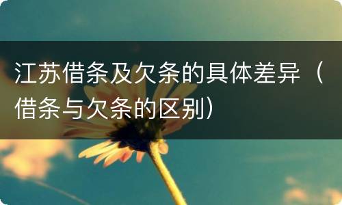 江苏借条及欠条的具体差异（借条与欠条的区别）