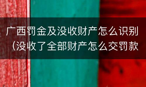 广西罚金及没收财产怎么识别（没收了全部财产怎么交罚款）