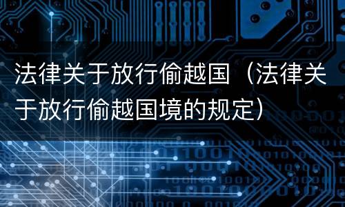 法律关于放行偷越国（法律关于放行偷越国境的规定）