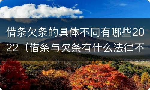 借条欠条的具体不同有哪些2022（借条与欠条有什么法律不同依据）