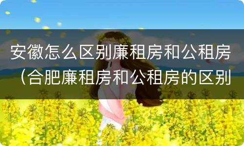 安徽怎么区别廉租房和公租房（合肥廉租房和公租房的区别）
