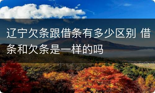 辽宁欠条跟借条有多少区别 借条和欠条是一样的吗