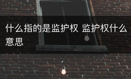 什么指的是监护权 监护权什么意思