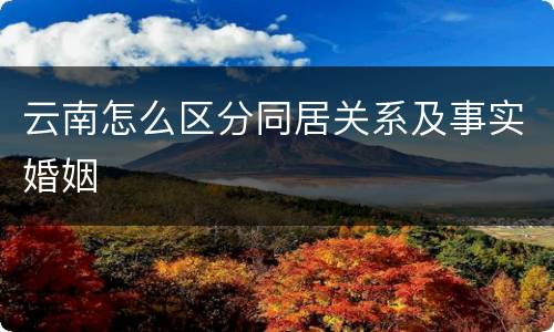 云南怎么区分同居关系及事实婚姻