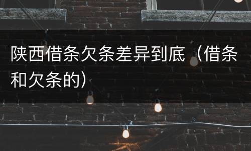 陕西借条欠条差异到底（借条和欠条的）