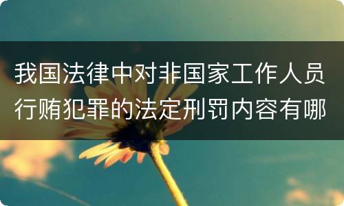 我国法律中对非国家工作人员行贿犯罪的法定刑罚内容有哪些