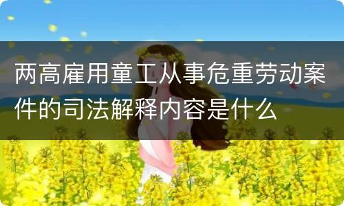 两高雇用童工从事危重劳动案件的司法解释内容是什么