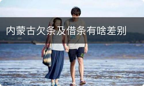 内蒙古欠条及借条有啥差别