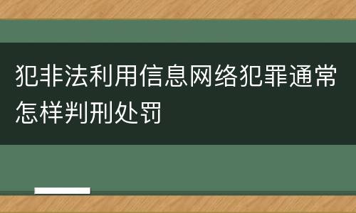 犯非法利用信息网络犯罪通常怎样判刑处罚