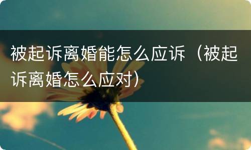 被起诉离婚能怎么应诉（被起诉离婚怎么应对）