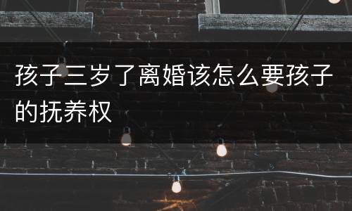 孩子三岁了离婚该怎么要孩子的抚养权