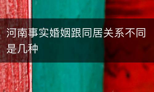 河南事实婚姻跟同居关系不同是几种