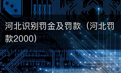 河北识别罚金及罚款（河北罚款2000）