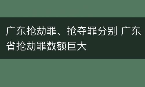 广东抢劫罪、抢夺罪分别 广东省抢劫罪数额巨大