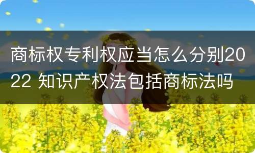商标权专利权应当怎么分别2022 知识产权法包括商标法吗