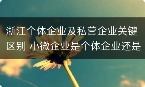 浙江个体企业及私营企业关键区别 小微企业是个体企业还是私营企业