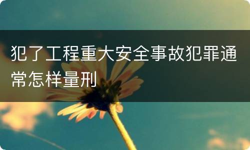 犯了工程重大安全事故犯罪通常怎样量刑