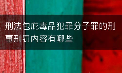 刑法包庇毒品犯罪分子罪的刑事刑罚内容有哪些