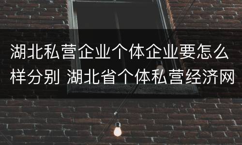 湖北私营企业个体企业要怎么样分别 湖北省个体私营经济网