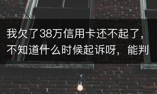 我欠了38万信用卡还不起了，不知道什么时候起诉呀，能判刑几年