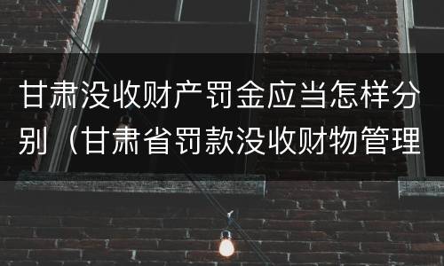 甘肃没收财产罚金应当怎样分别（甘肃省罚款没收财物管理办法）
