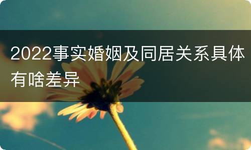 2022事实婚姻及同居关系具体有啥差异