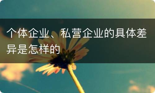 个体企业、私营企业的具体差异是怎样的