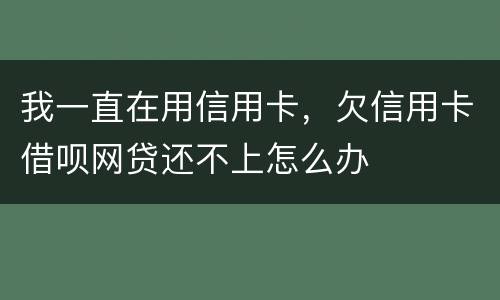 我一直在用信用卡，欠信用卡借呗网贷还不上怎么办