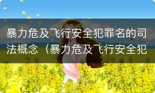 暴力危及飞行安全犯罪名的司法概念（暴力危及飞行安全犯罪名的司法概念是什么）