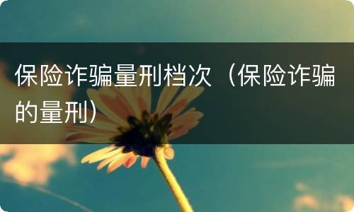 保险诈骗量刑档次（保险诈骗的量刑）