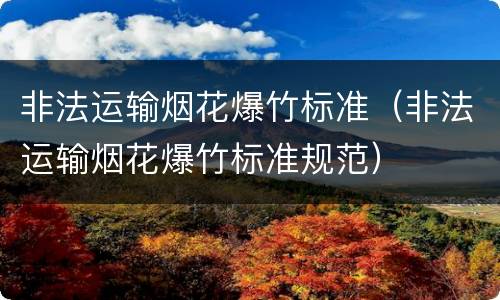 非法运输烟花爆竹标准（非法运输烟花爆竹标准规范）