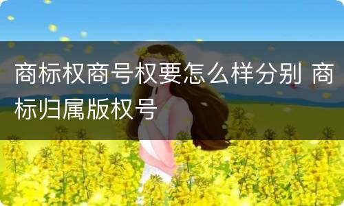 商标权商号权要怎么样分别 商标归属版权号