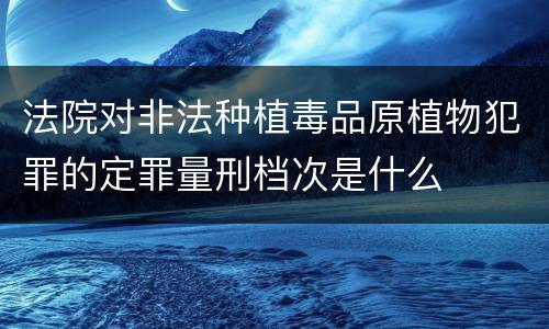 法院对非法种植毒品原植物犯罪的定罪量刑档次是什么