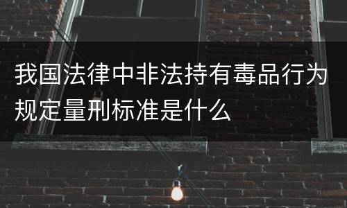 我国法律中非法持有毒品行为规定量刑标准是什么