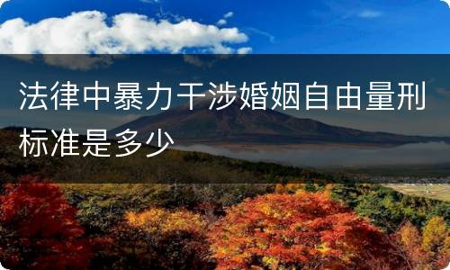 法律中暴力干涉婚姻自由量刑标准是多少