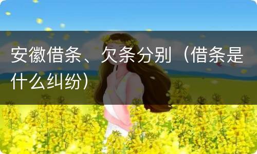 安徽借条、欠条分别（借条是什么纠纷）