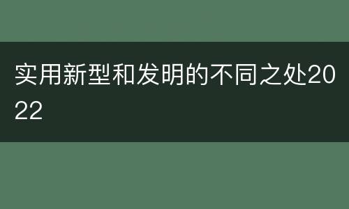 实用新型和发明的不同之处2022