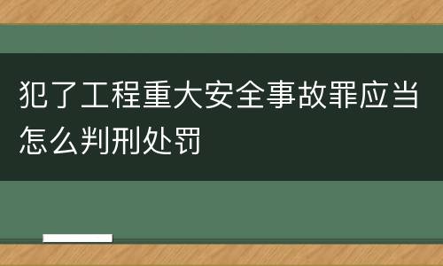 犯了工程重大安全事故罪应当怎么判刑处罚