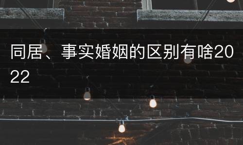 同居、事实婚姻的区别有啥2022