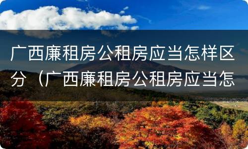 广西廉租房公租房应当怎样区分（广西廉租房公租房应当怎样区分产权）